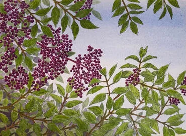Image description